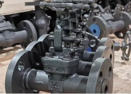 کلاس 150lb-1500lb دریچه فولادی با کار دستی بوکت بولت شده