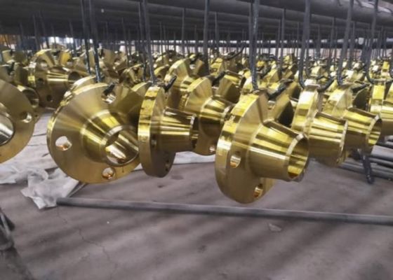 فلج های لوله فولادی برای اتصال دیافراگم NBR / Viton