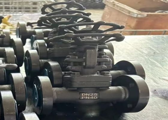 دستی دریچه های فولاد / گلوب / چک / توپ / پروانه نوع پشتیبانی سفارشی