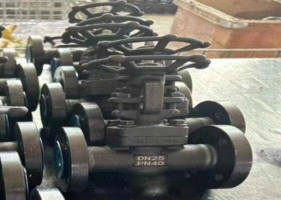 شیر کشویی فولادی دستی با درپوش پیچ‌دار DN10-DN50 150lb-1500lb مقاومت بالا در برابر خوردگی